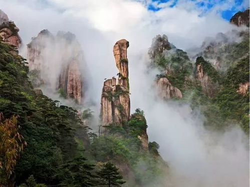 經(jīng)驗參考丨淺析旅游景區(qū)運營管理 旅游景點建設(shè)運營