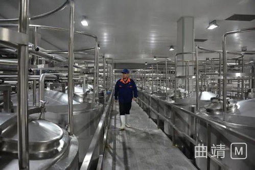 陸良2.8億投資項(xiàng)目順利進(jìn)入試生產(chǎn)階段，區(qū)域經(jīng)濟(jì)迎來發(fā)展新動能